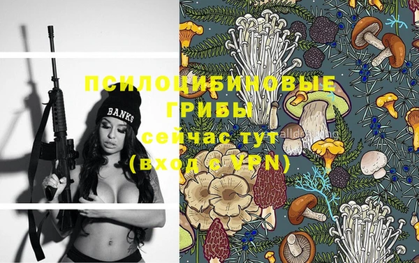 мескалин Медвежьегорск