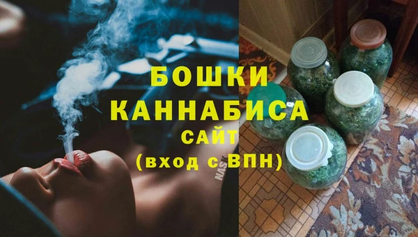 молекула духа Мегион