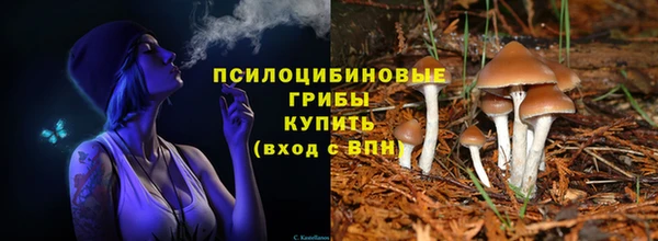 молекула духа Мегион