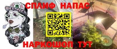 mdpv Камышлов