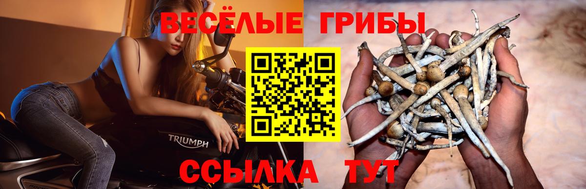 Псилоцибиновые грибы мухоморы Мурино
